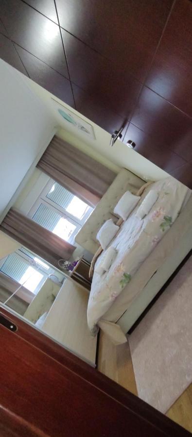 Apartman Mali Raj Vrnjačka Banja Zewnętrze zdjęcie